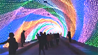 LED滿天星做時光隧道成為燈光節一大亮點